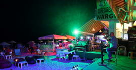 Av&scedil;a E&gbreve;lence